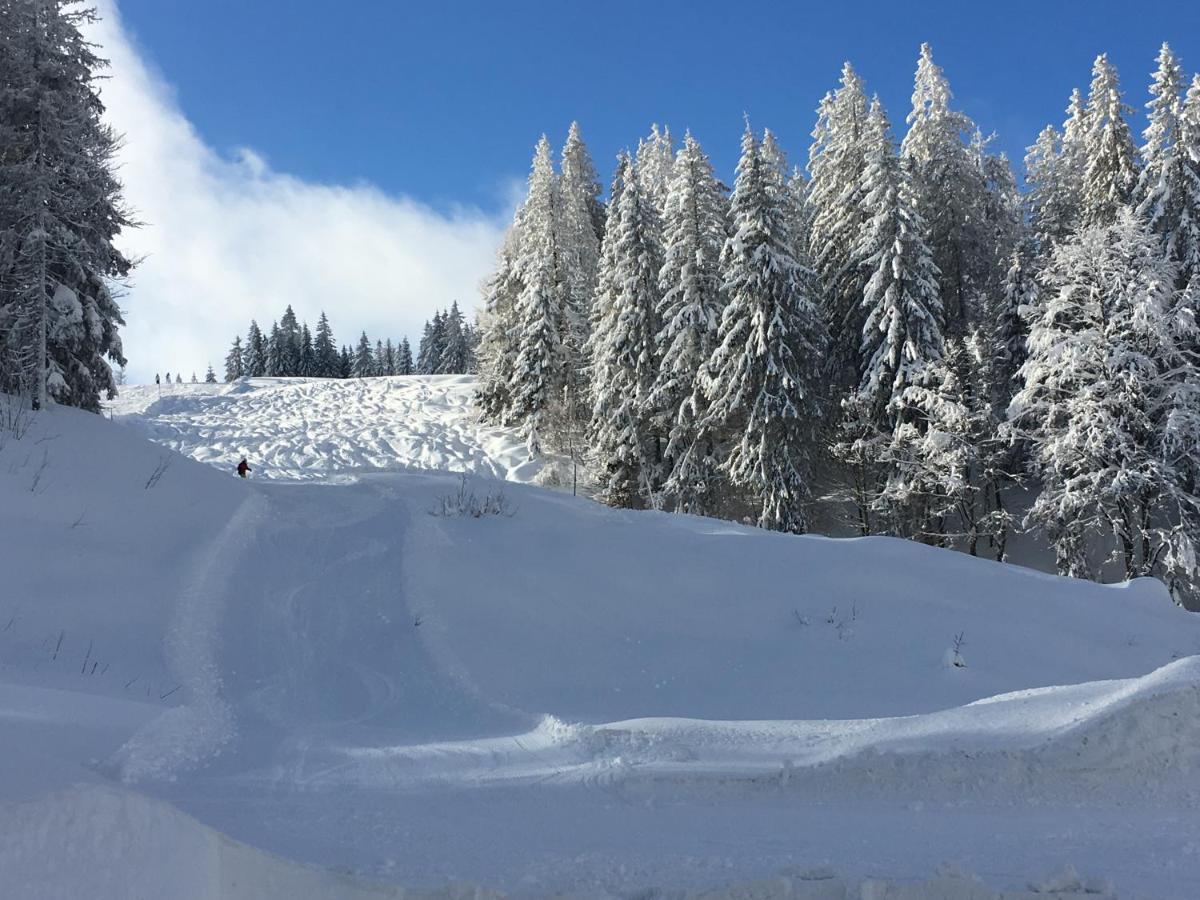 Ferienwohnung Heimweg Feldberg  Exteriör bild