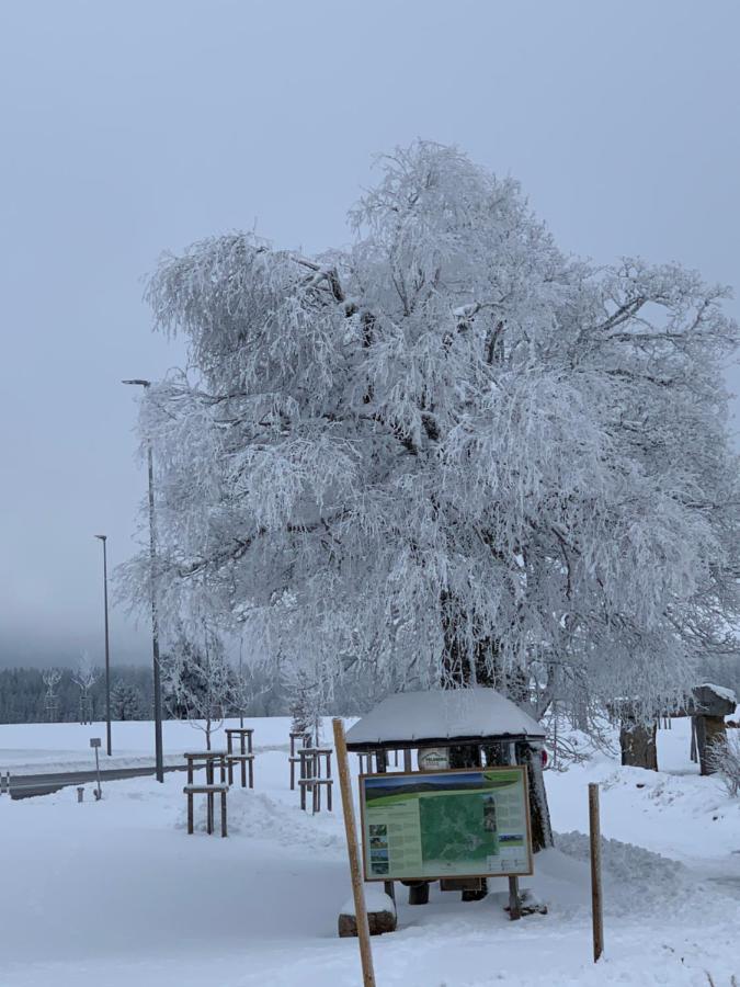 Ferienwohnung Heimweg Feldberg  Exteriör bild